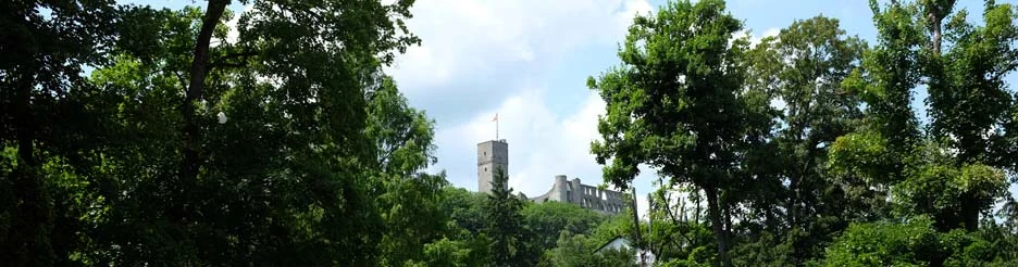 Blick auf Königstein im Taunus